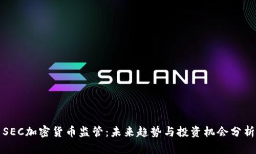 SEC加密货币监管:未来趋势与投资机会分析