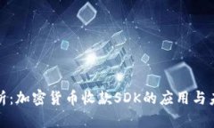 全面解析:加密货币收款SDK的应用与未来发展