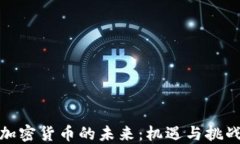 加密货币的未来:机遇与挑战
