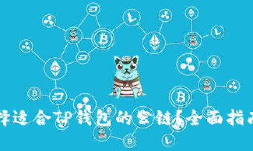 如何选择适合TP钱包的公链?全面指南及推荐