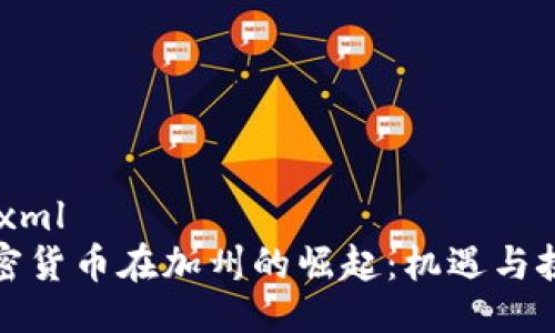 ```xml
加密货币在加州的崛起：机遇与挑战