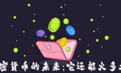加密货币的未来：它还能火多久？