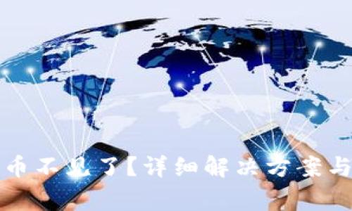 TP钱包登录后币不见了?详细解决方案与常见问题解析