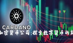 全球加密货币公司:探索数字货币的新机会
