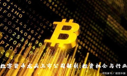加密数字货币龙头上市公司解析：投资机会与行业前景