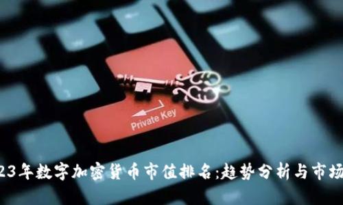  2023年数字加密货币市值排名：趋势分析与市场前景