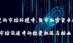 在这个瞬息万变的市场环境中，熊市加密货币插