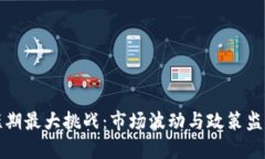 : 加密货币短期最大挑战:市场波动与政策监管的