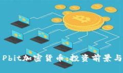详细解析Pbit加密货币：投资前景与市场分析