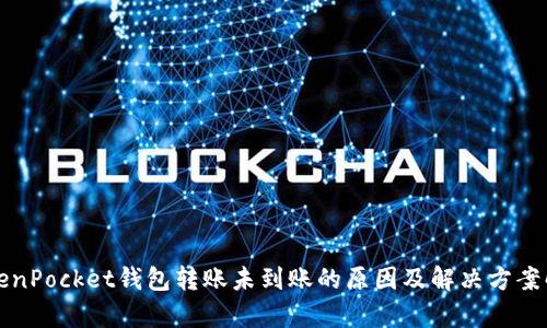 TokenPocket钱包转账未到账的原因及解决方案解析