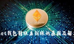 TokenPocket钱包转账未到账的原因及解决方案解析