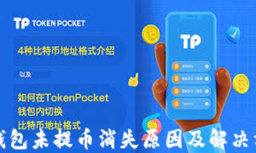 
TP钱包未提币消失原因及解决方案