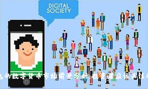 TP钱包的数字货币市场前景分析：投资者应该关注的因素