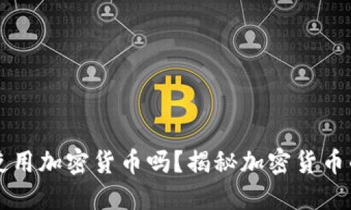 每个人都在使用加密货币吗?揭秘加密货币的普及与未来