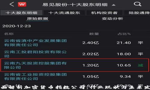 全面解析加密货币指数公司:行业现状与未来发展