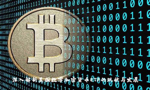 深入解析美国数字加密货币ETF的现状与发展
