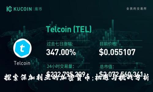探索保加利亚的加密货币:机遇与挑战分析