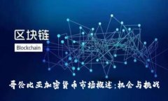 哥伦比亚加密货币市场概述:机会与挑战