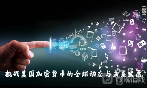 挑战美国加密货币的全球动态与未来发展