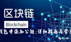 如何在TP钱包中添加公链：详细指南与常见问题解