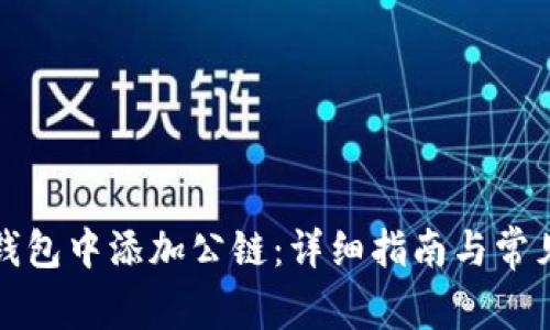 如何在TP钱包中添加公链:详细指南与常见问题解答