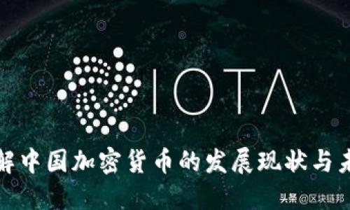全面了解中国加密货币的发展现状与未来趋势