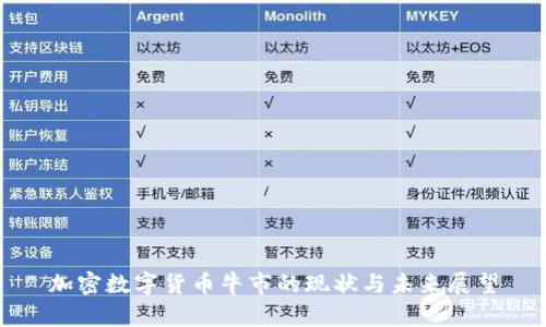 加密数字货币牛市的现状与未来展望