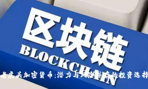 老虎头加密货币：潜力与风险并存的投资选择