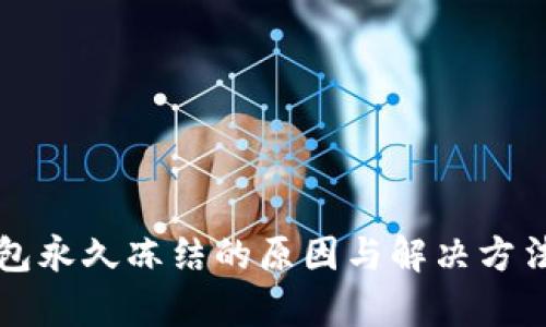 TP钱包永久冻结的原因与解决方法解析