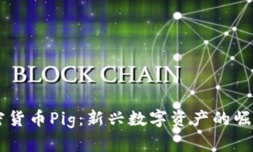了解加密货币Pig:新兴数字资产的崛起与未来