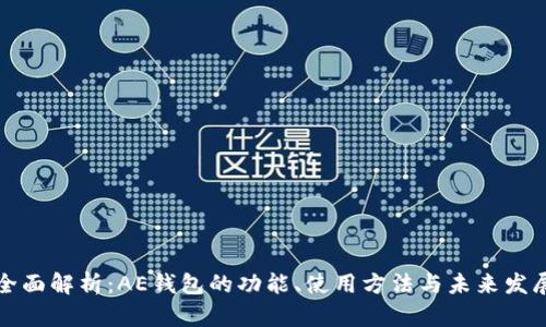 全面解析:AE钱包的功能、使用方法与未来发展