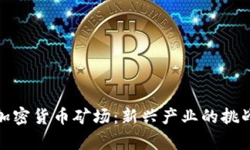 贵州的加密货币矿场:新兴产业的挑战与机遇