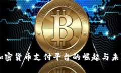 韩国加密货币支付平台的崛起与未来展望