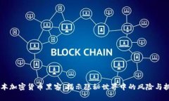 日本加密货币黑客:揭示隐秘世界中的风险与挑