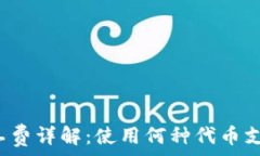 TP钱包矿工费详解:使用何种代币支付最划算?