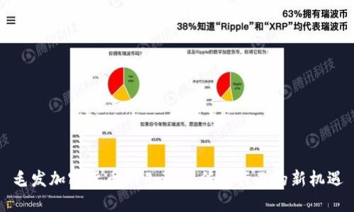 毛发加密货币APP:颠覆传统行业的新机遇