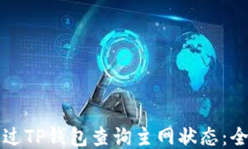 如何通过TP钱包查询主网状态:全面指南