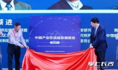 加密货币排序图解:深入了解最受欢迎的数字货