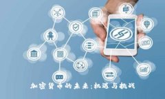 加密货币的未来:机遇与挑战