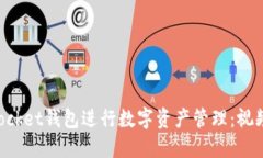 如何使用TokenPocket钱包进行数字资产管理:视频教