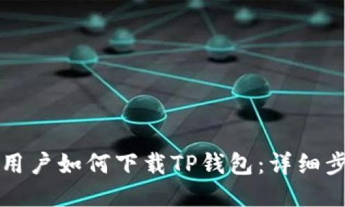 华为手机用户如何下载TP钱包:详细步骤与技巧