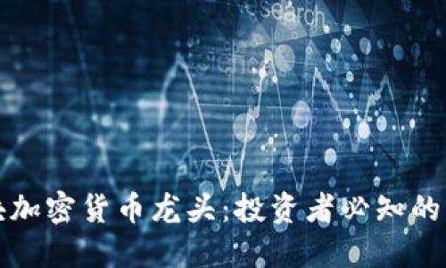 揭秘各板块加密货币龙头:投资者必知的市场领军者