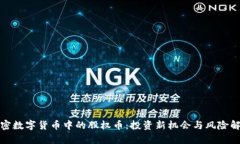 加密数字货币中的股权币:投资新机会与风险解