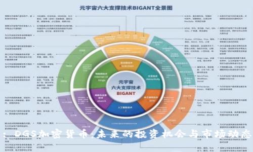 : DGS加密货币:未来的投资机会与市场动态