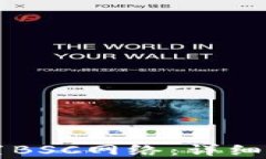 如何在TP钱包中设置BSC网络：详细指南与常见问题