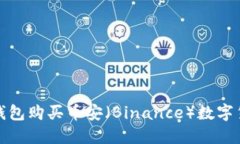 如何通过TP钱包购买币安（Binance）数字货币的全