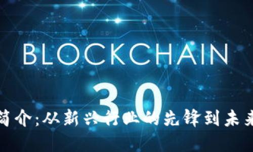 加密货币公司简介:从新兴行业的先锋到未来金融的引领者