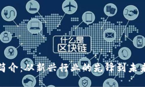 加密货币公司简介:从新兴行业的先锋到未来金融的引领者