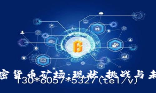 全面解读加密货币矿场:现状、挑战与未来发展趋势