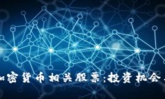 深入探讨加密货币相关股票:投资机会与风险分